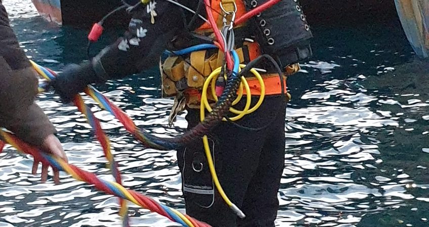 20190329 190836 1 e1556027178174 o6sphq6qzjjnqiz3w3ih2jvftfv8kbogsyfcsat7kk