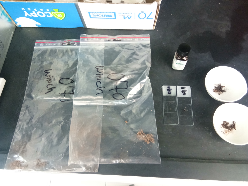 img 20220126 122153.jpg